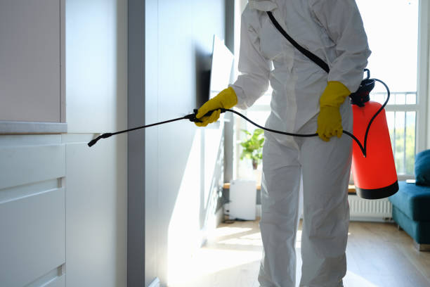 Certified Mold Removal in Bozeman, MT