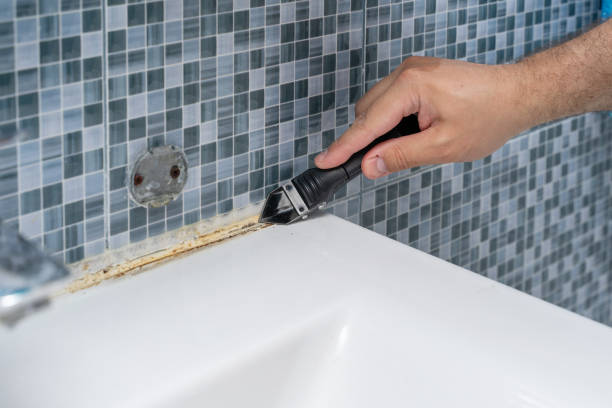 Best Mold Testing  in Bozeman, MT